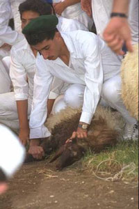 صورة