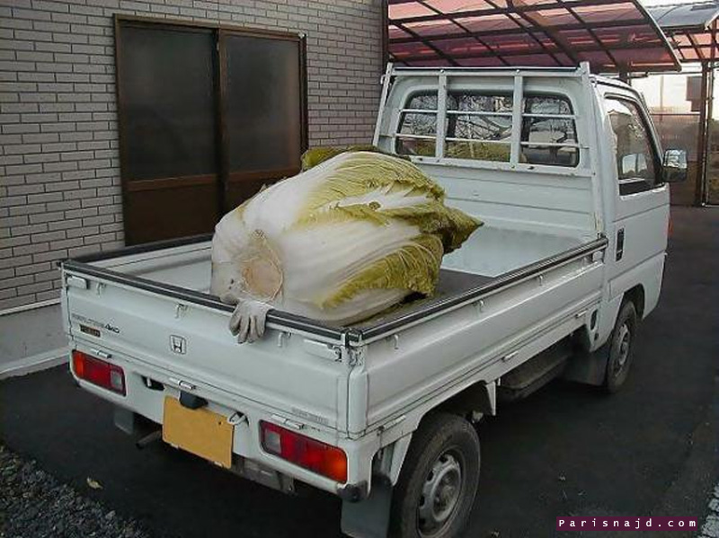صورة