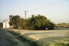 pic_0006