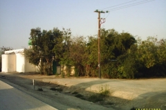 pic_0007