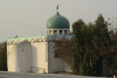 dsc00041