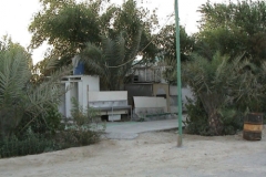dsc00044