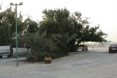 dsc00046