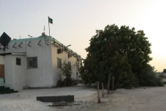 dsc00049
