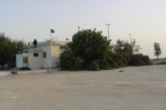 dsc00050