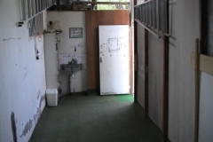 dsc00059