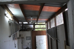 dsc00060